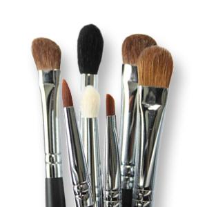 Make-Up Brushes