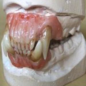 Dental